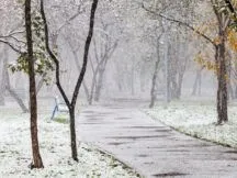 Коли буде перший сніг в Україні у 2026 році: прогноз
